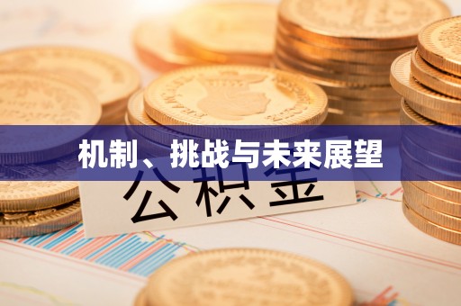 封开机制、挑战与未来展望